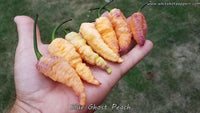 Blue Ghost (Peach) - Pepper Seeds - White Hot Peppers